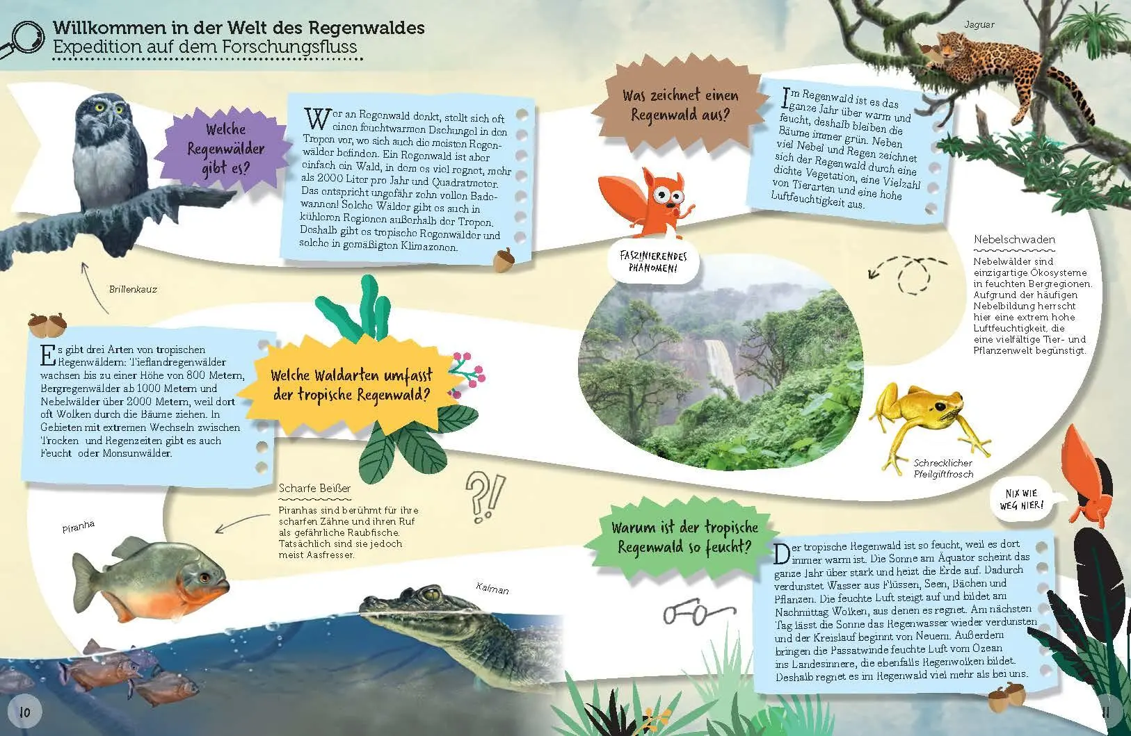 Bild: 9783968080376 | Regenwald-Safari | Teste dein Wissen (Sammy checkt's) | Cucchiarini