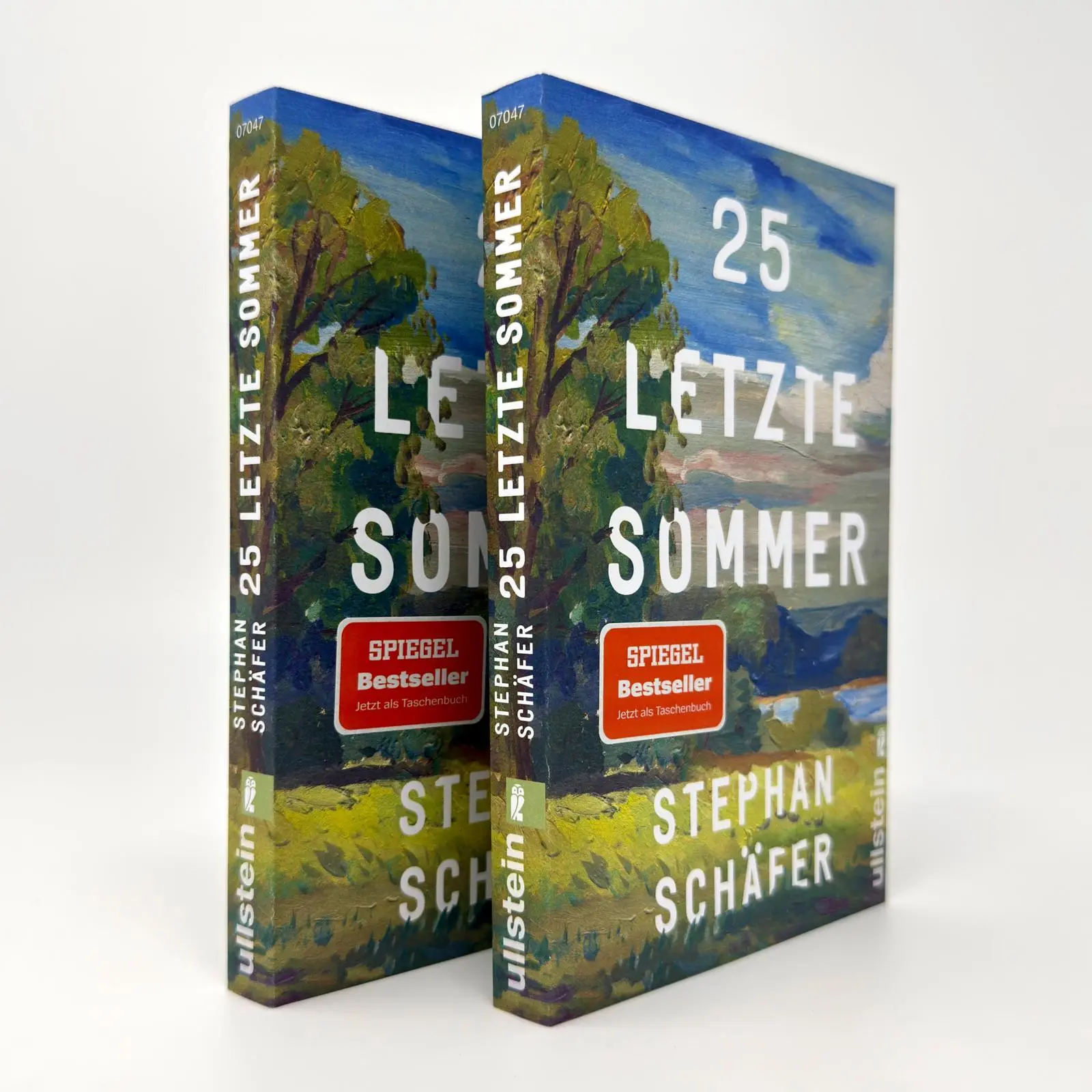 Bild: 9783548070476 | 25 letzte Sommer | Stephan Schäfer | Taschenbuch | Lebensfragen | 2025