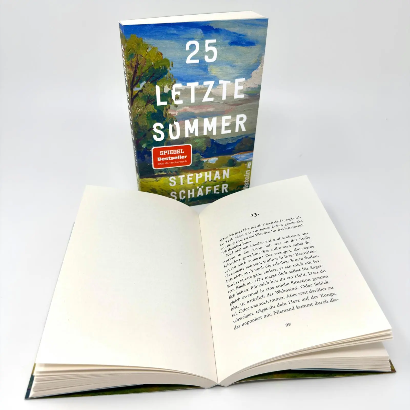 Bild: 9783548070476 | 25 letzte Sommer | Stephan Schäfer | Taschenbuch | Lebensfragen | 2025