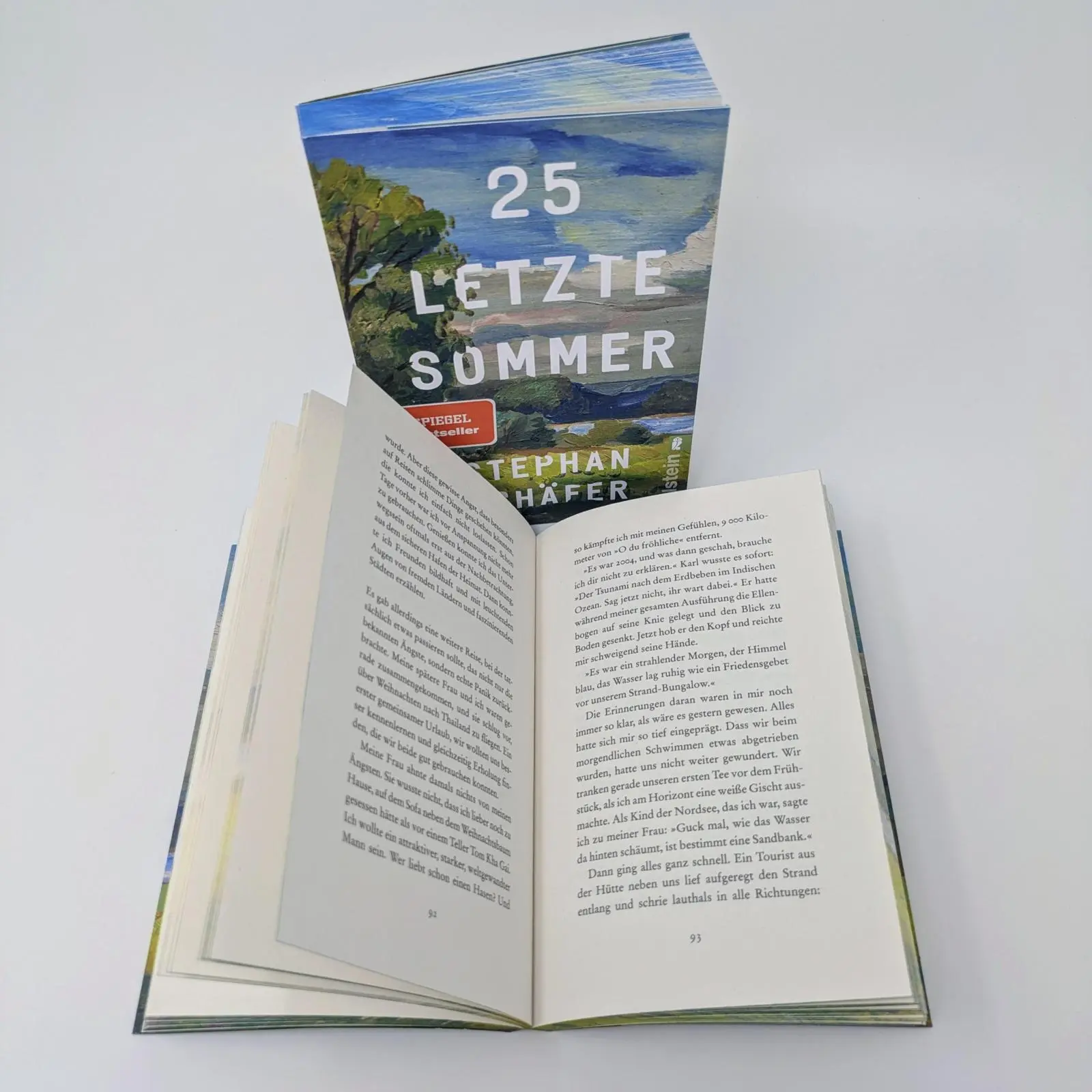 Bild: 9783548070476 | 25 letzte Sommer | Stephan Schäfer | Taschenbuch | Lebensfragen | 2025