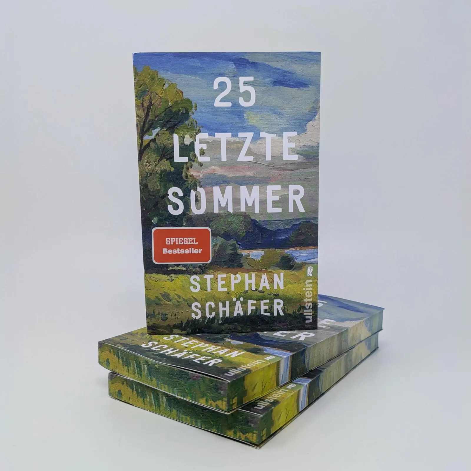 Bild: 9783548070476 | 25 letzte Sommer | Stephan Schäfer | Taschenbuch | Lebensfragen | 2025