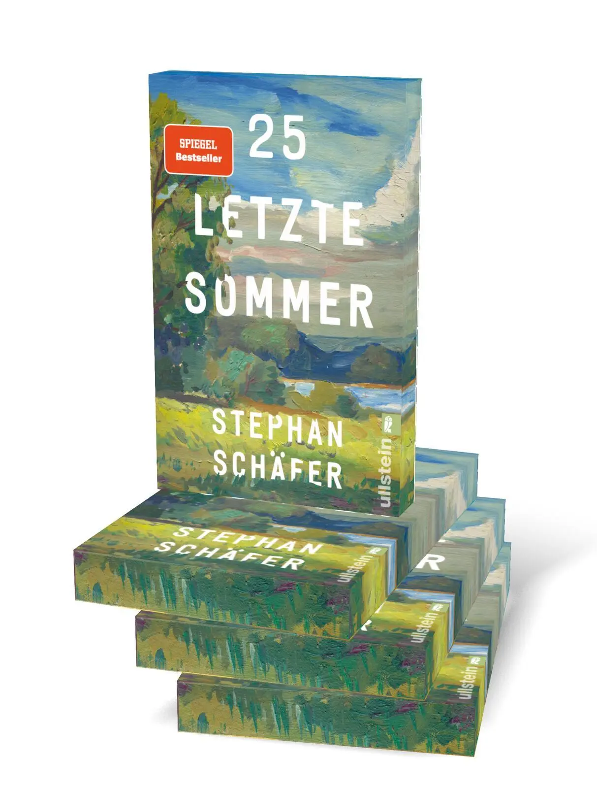 Bild: 9783548070476 | 25 letzte Sommer | Stephan Schäfer | Taschenbuch | Lebensfragen | 2025