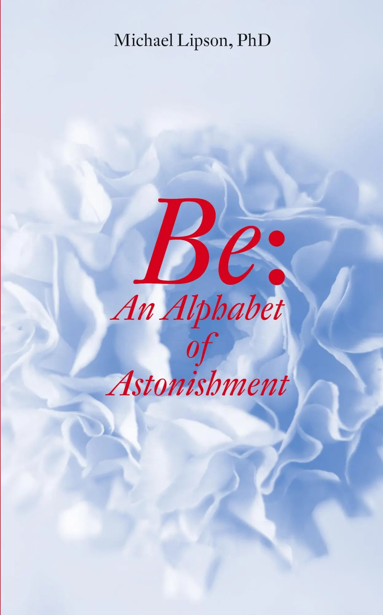 Cover: 9781939790576 | BE | An Alphabet of Astonishment | Michael Lipson | Taschenbuch | 2022