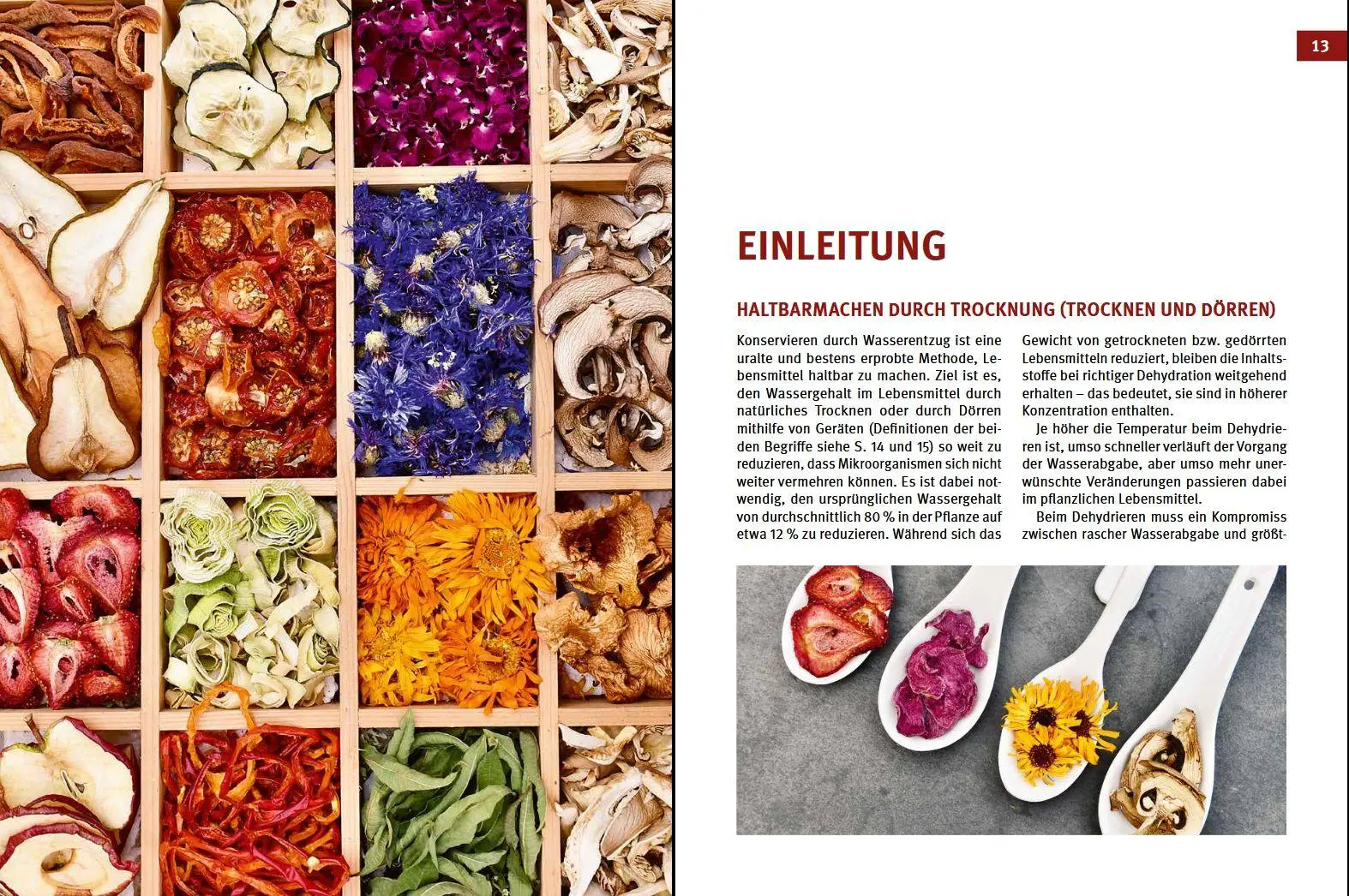 Bild: 9783702020576 | Dörren &amp; Trocknen | Regional &amp; saisonal | Wolfgang Zemanek | Buch