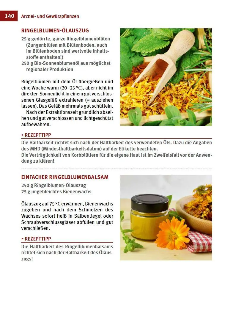 Bild: 9783702020576 | Dörren &amp; Trocknen | Regional &amp; saisonal | Wolfgang Zemanek | Buch