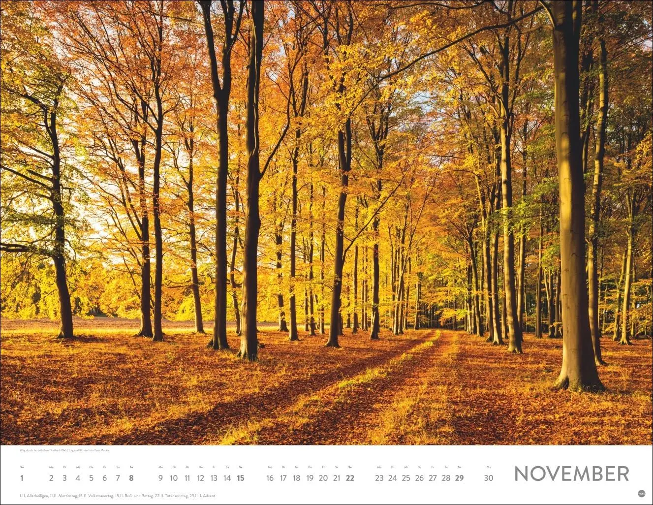 Bild: 9783756410576 | Auf Traumpfaden Posterkalender 2026 | Heye | Kalender | Spiralbindung