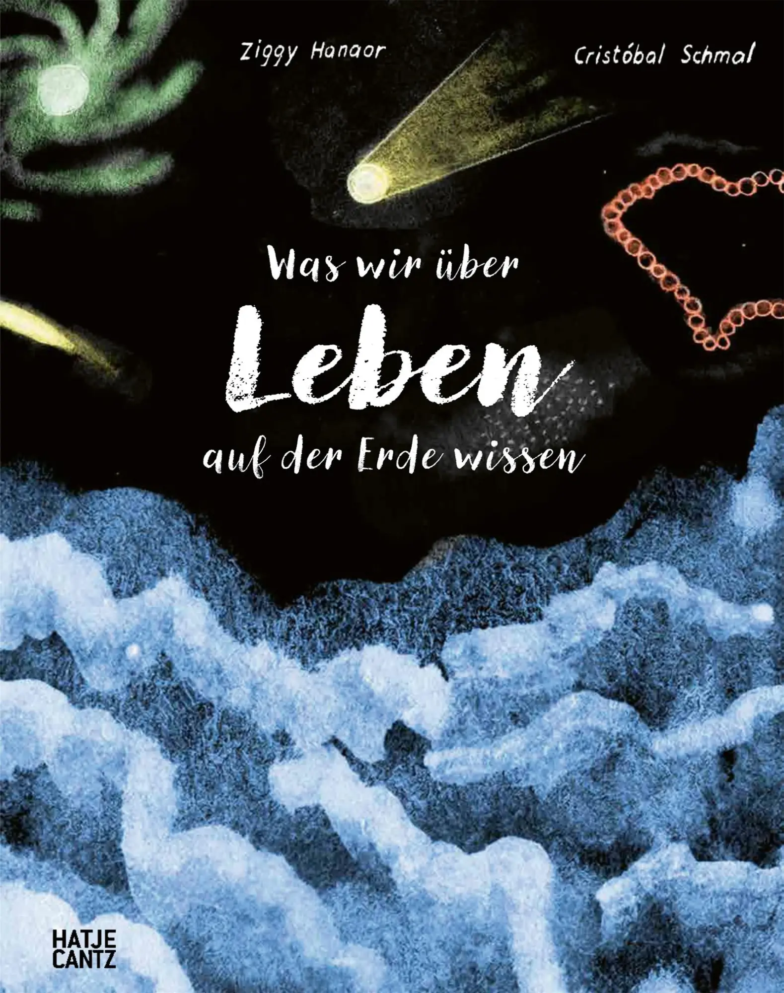 Cover: 9783775760676 | Was wir über Leben auf der Erde wissen. Urknall, Weltall und wir alle.
