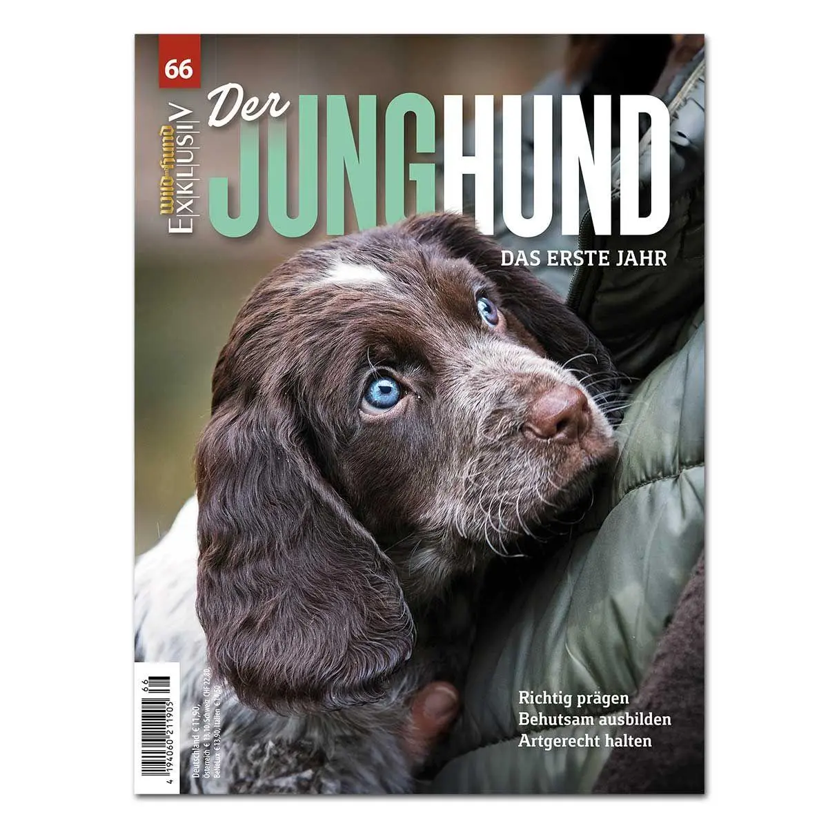 Cover: 9783897150676 | WILD UND HUND EXKLUSIV NR. 66: DER JUNGHUND - DAS ERSTE JAHR | HUND