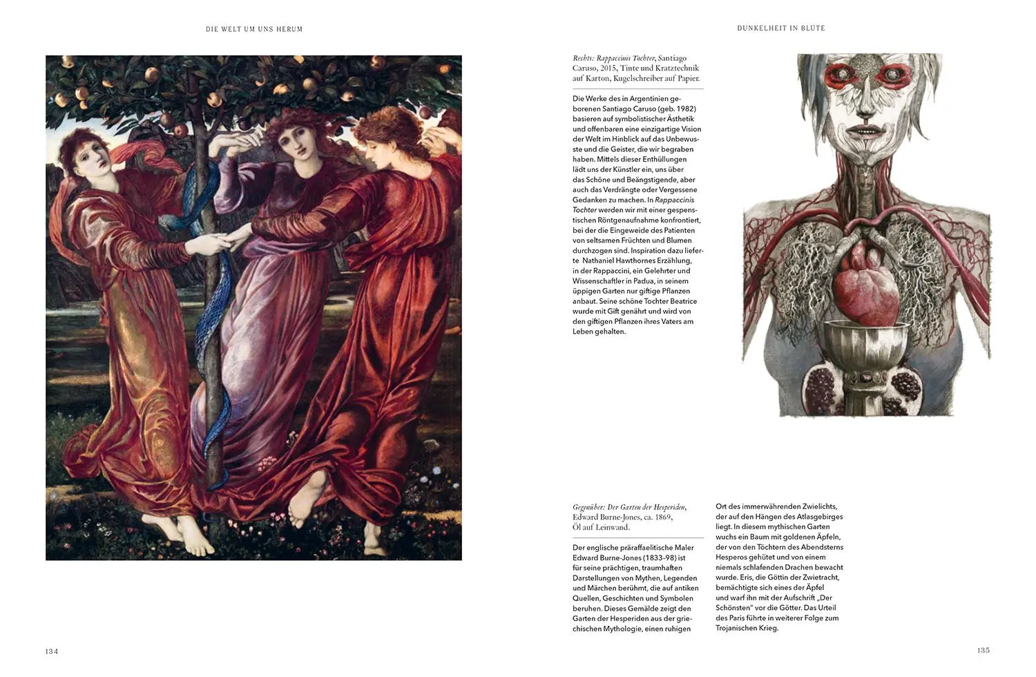 Bild: 9789464990676 | Die Kunst des Dunklen | S. Elizabeth | Buch | 240 S. | Deutsch | 2025