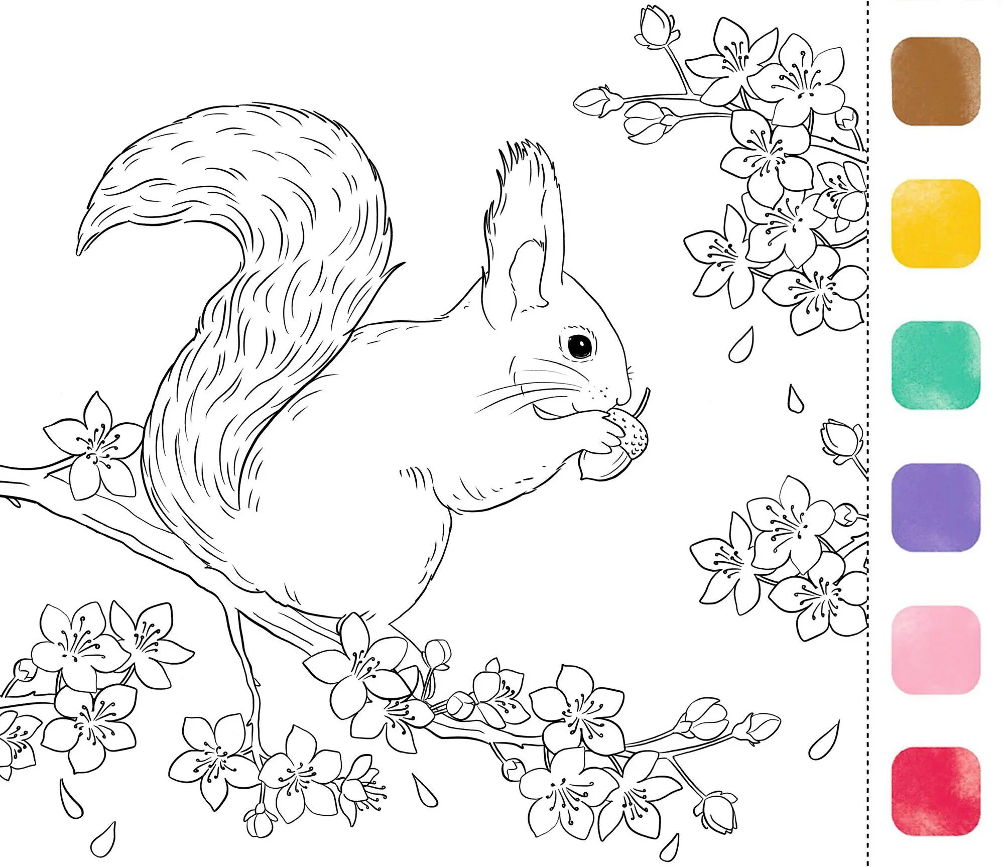 Bild: 4050003970776 | Aquarell-Glück | Gartenzauber | Susanna Hatkemper | Buch | 30 S.