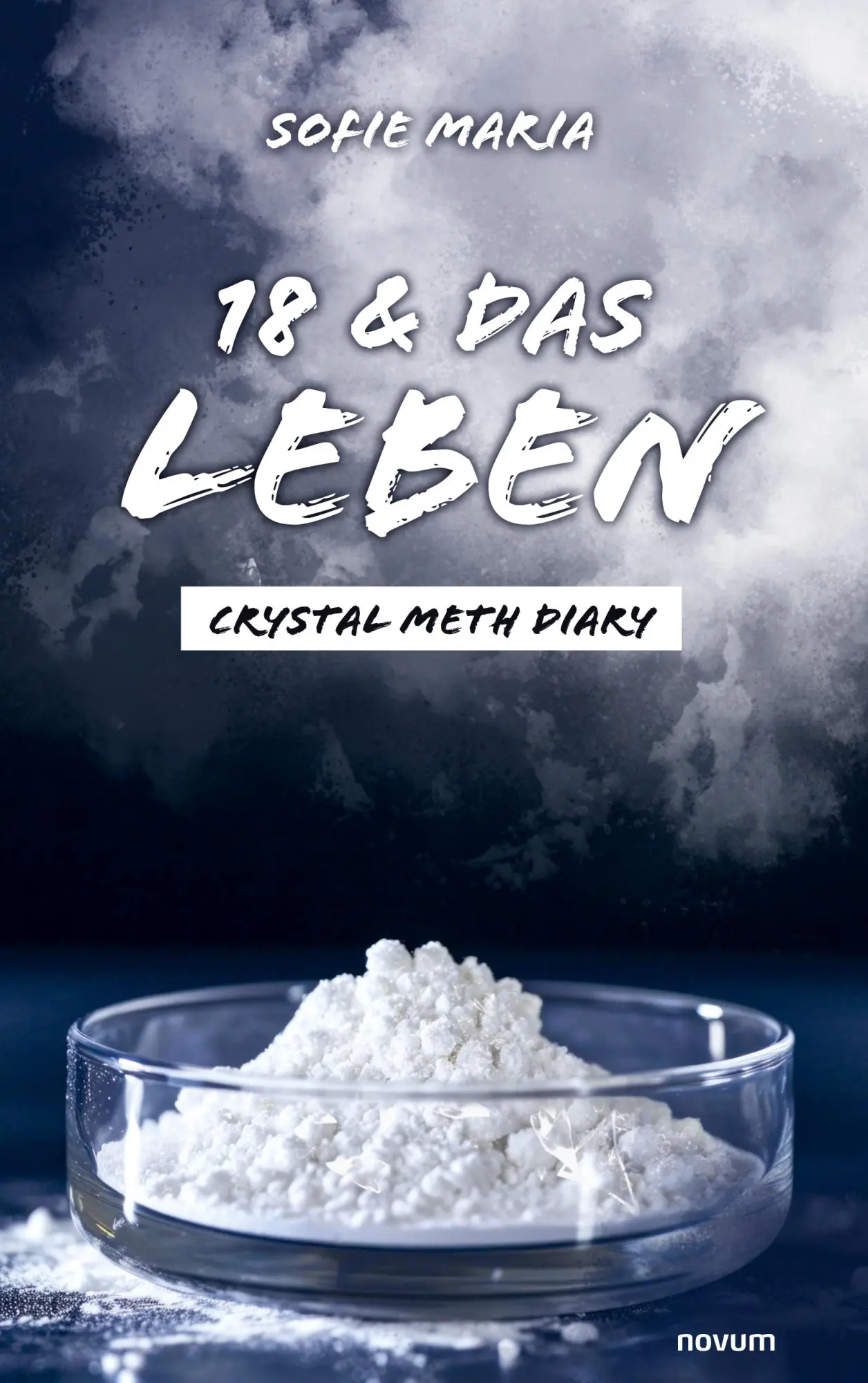 Cover: 9783711600776 | 18 &amp; das Leben | Crystal Meth Diary | Sofie Maria | Taschenbuch | 2024