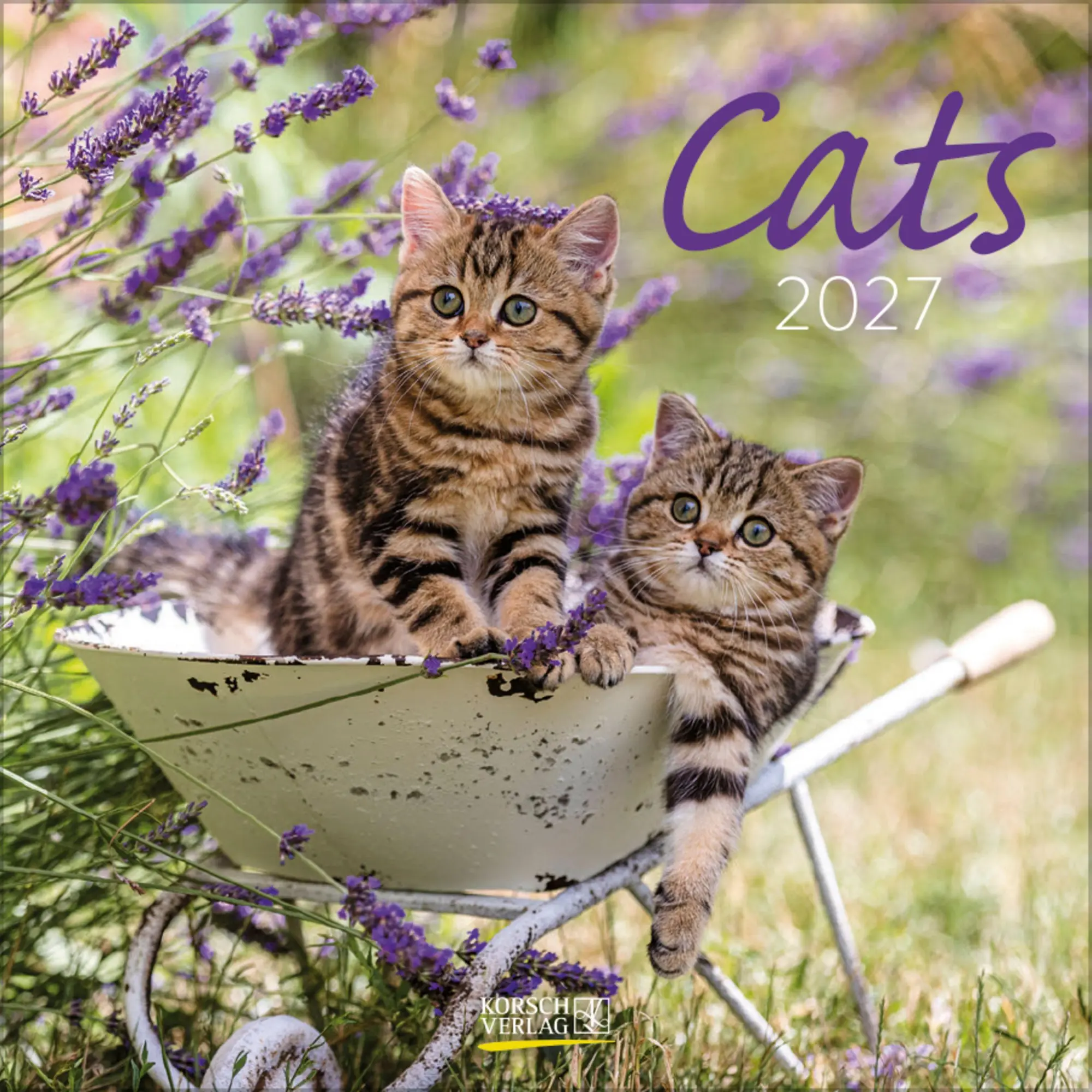 Cover: 9783819300776 | Cats 2027 | Verlag Korsch | Kalender | 13 S. | Deutsch | 2027