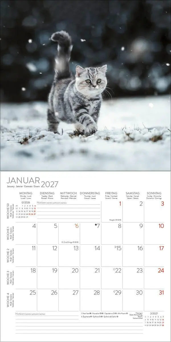 Bild: 9783819300776 | Cats 2027 | Verlag Korsch | Kalender | 13 S. | Deutsch | 2027