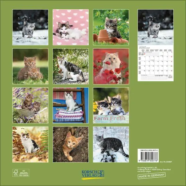 Bild: 9783819300776 | Cats 2027 | Verlag Korsch | Kalender | 13 S. | Deutsch | 2027