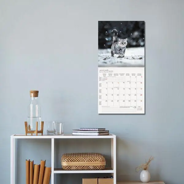Bild: 9783819300776 | Cats 2027 | Verlag Korsch | Kalender | 13 S. | Deutsch | 2027