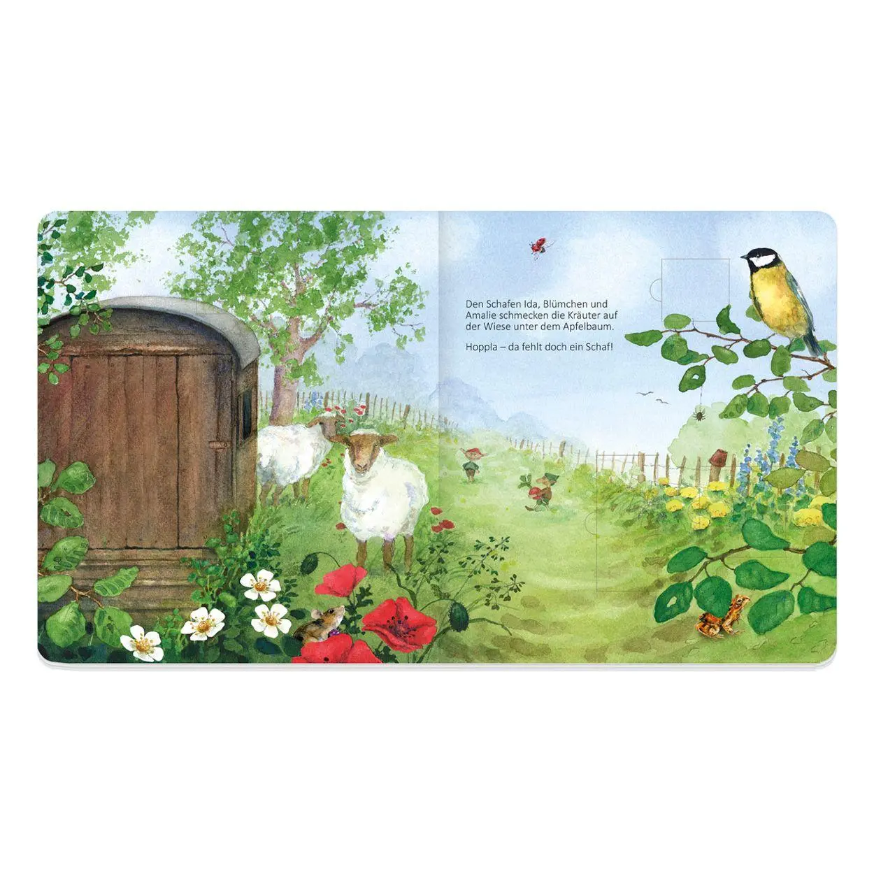 Bild: 9783911060776 | Wer wohnt in Giesberts Garten? | Ein Klappbilderbuch | Drescher | Buch