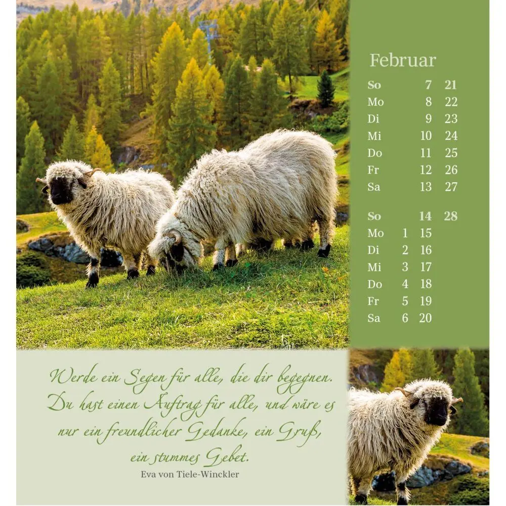 Bild: 9783754880876 | Sei behütet und geborgen 2027 | Impulse und Gedanken aus Psalm 23