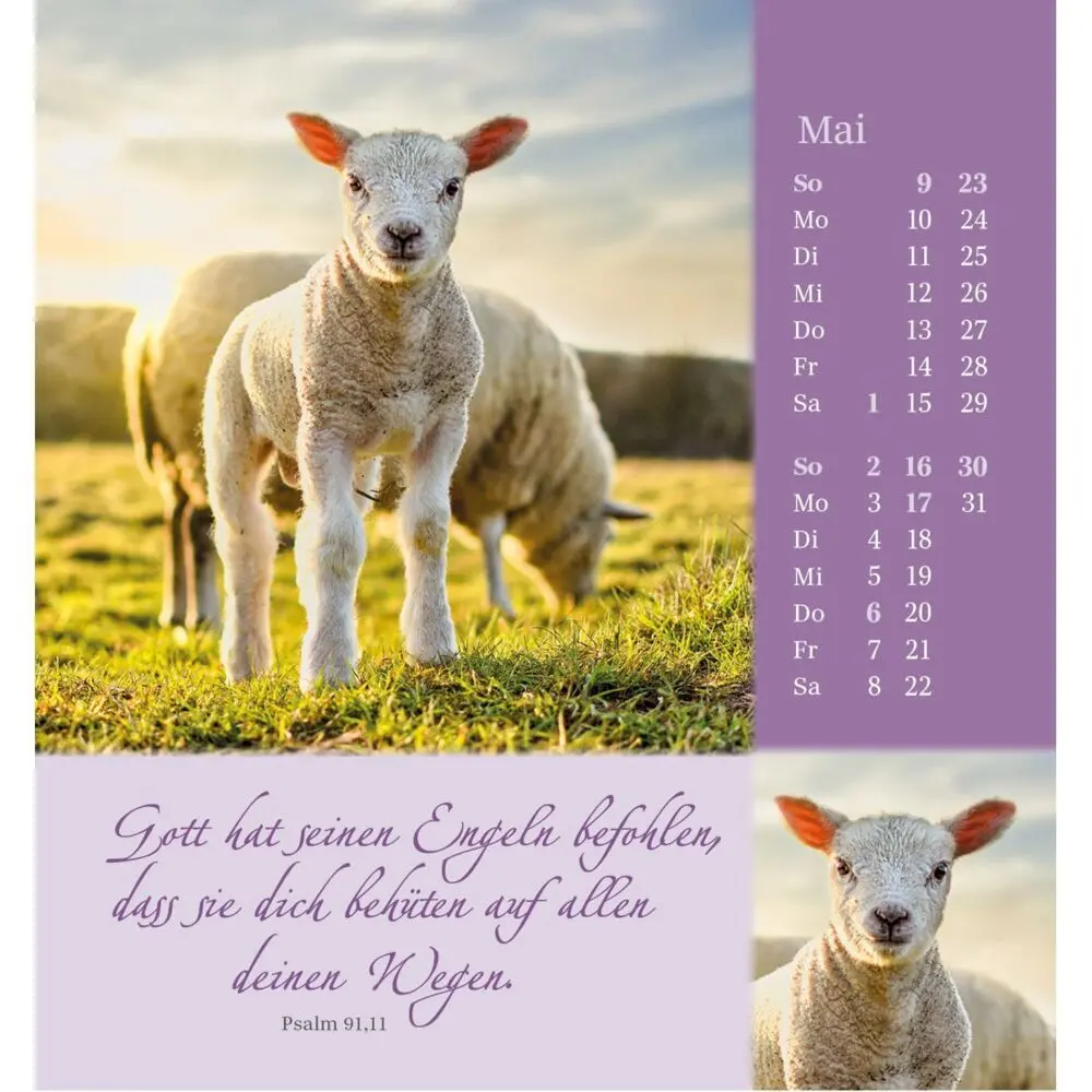 Bild: 9783754880876 | Sei behütet und geborgen 2027 | Impulse und Gedanken aus Psalm 23