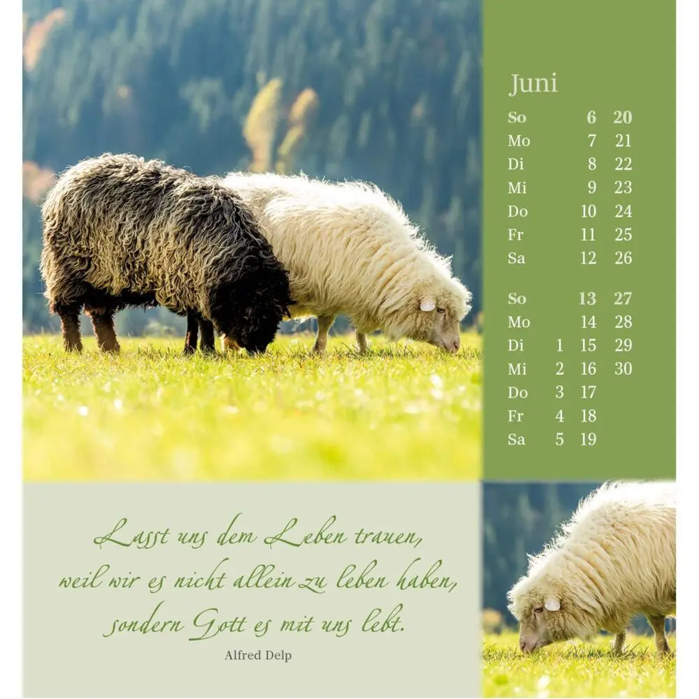 Bild: 9783754880876 | Sei behütet und geborgen 2027 | Impulse und Gedanken aus Psalm 23