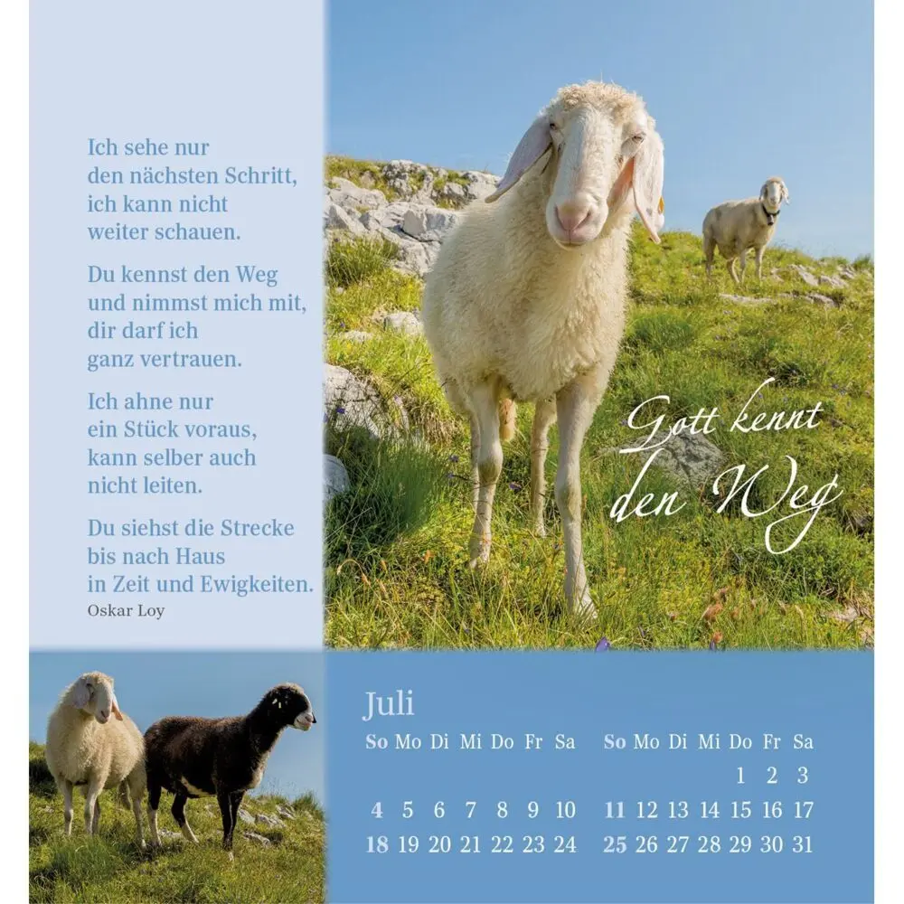 Bild: 9783754880876 | Sei behütet und geborgen 2027 | Impulse und Gedanken aus Psalm 23