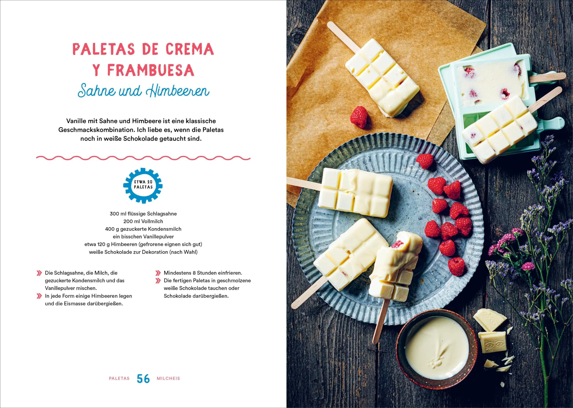 Bild: 9783989510876 | Paletas. Dein bestes Eis am Stiel | Maria Borda | Buch | 128 S. | 2026