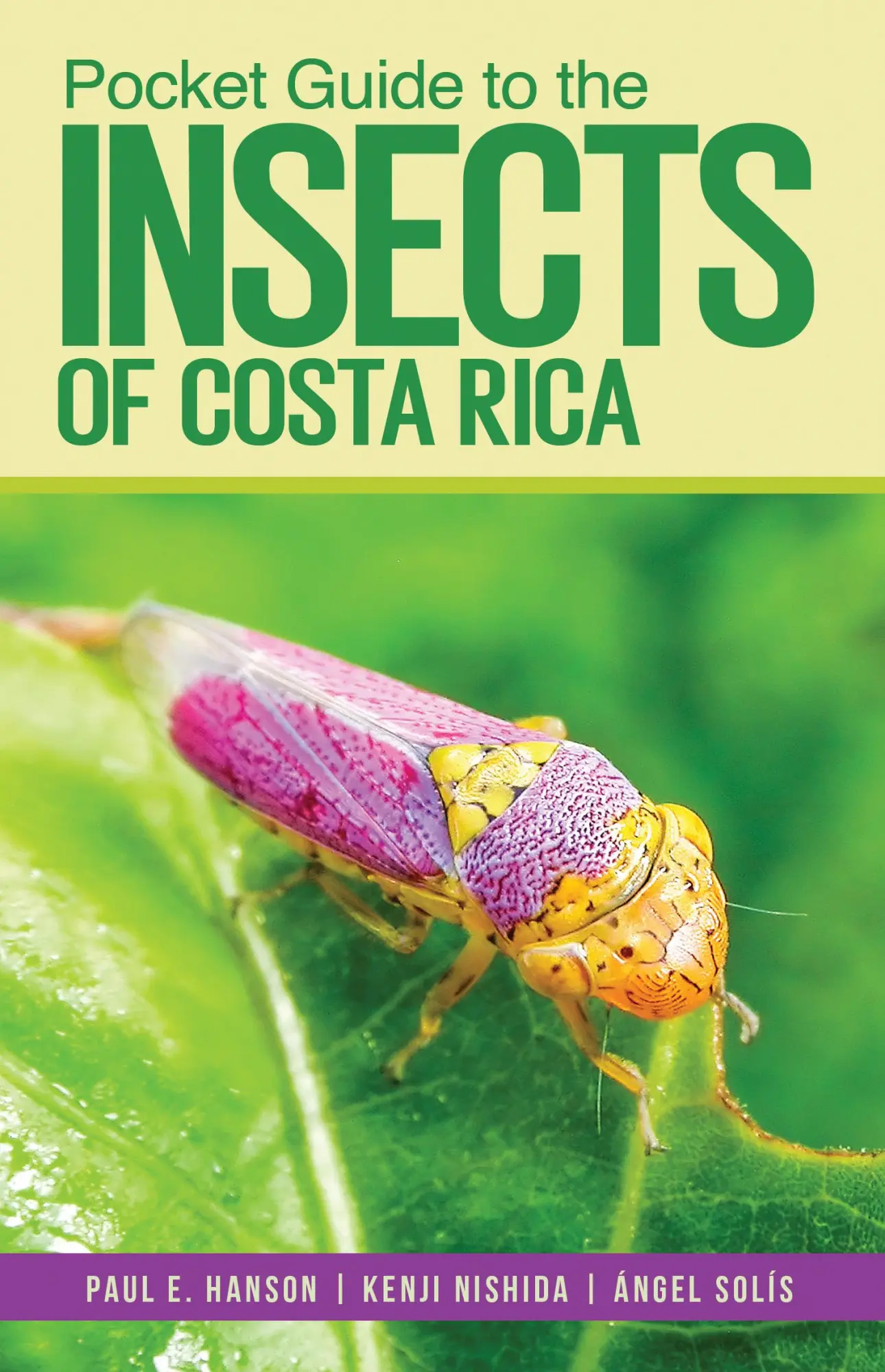 Cover: 9781501760976 | Pocket Guide to the Insects of Costa Rica | Paul E Hanson (u. a.)