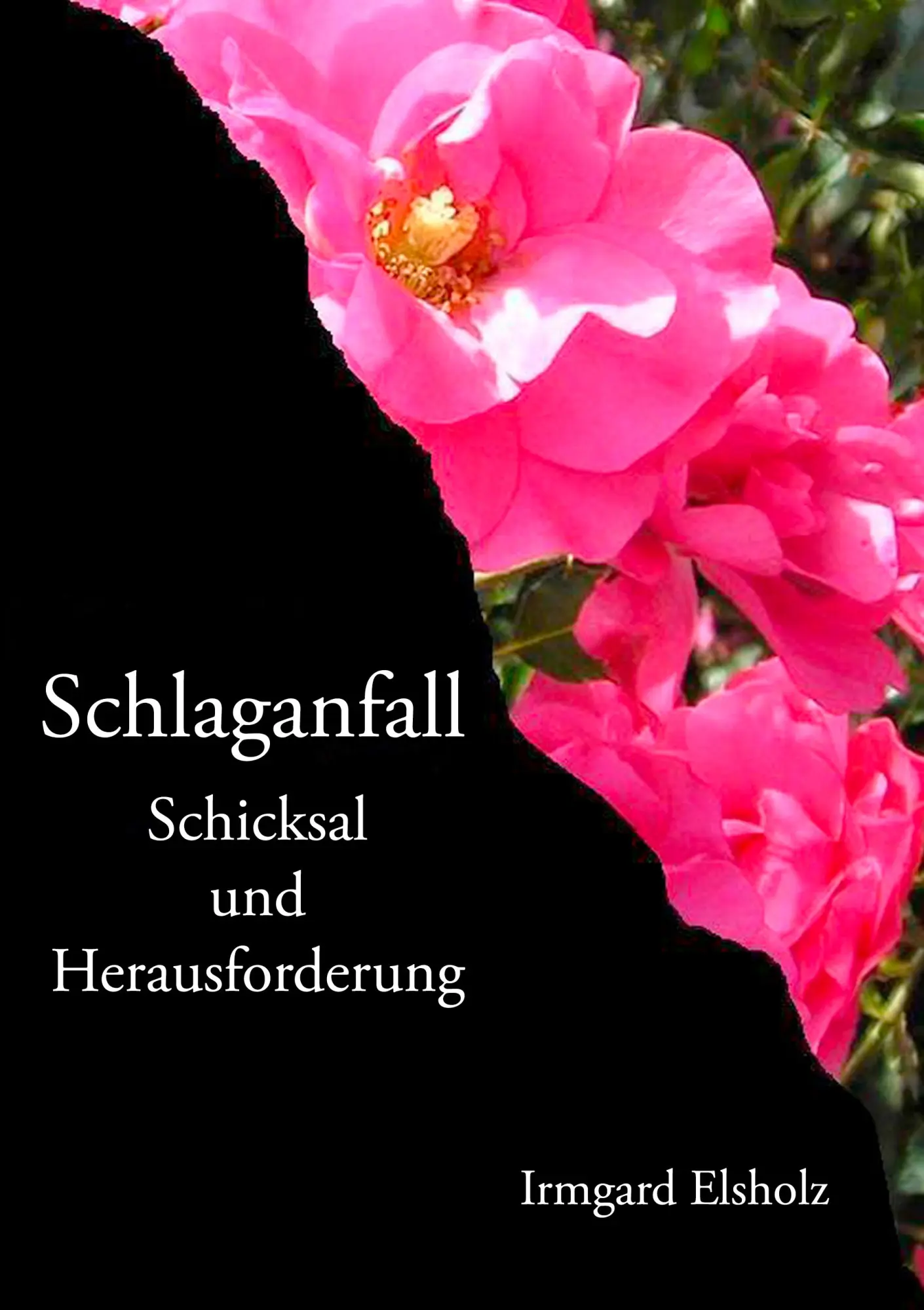 Cover: 9783833450976 | Schlaganfall | Schicksal und Herausforderung | Irmgard Elsholz | Buch