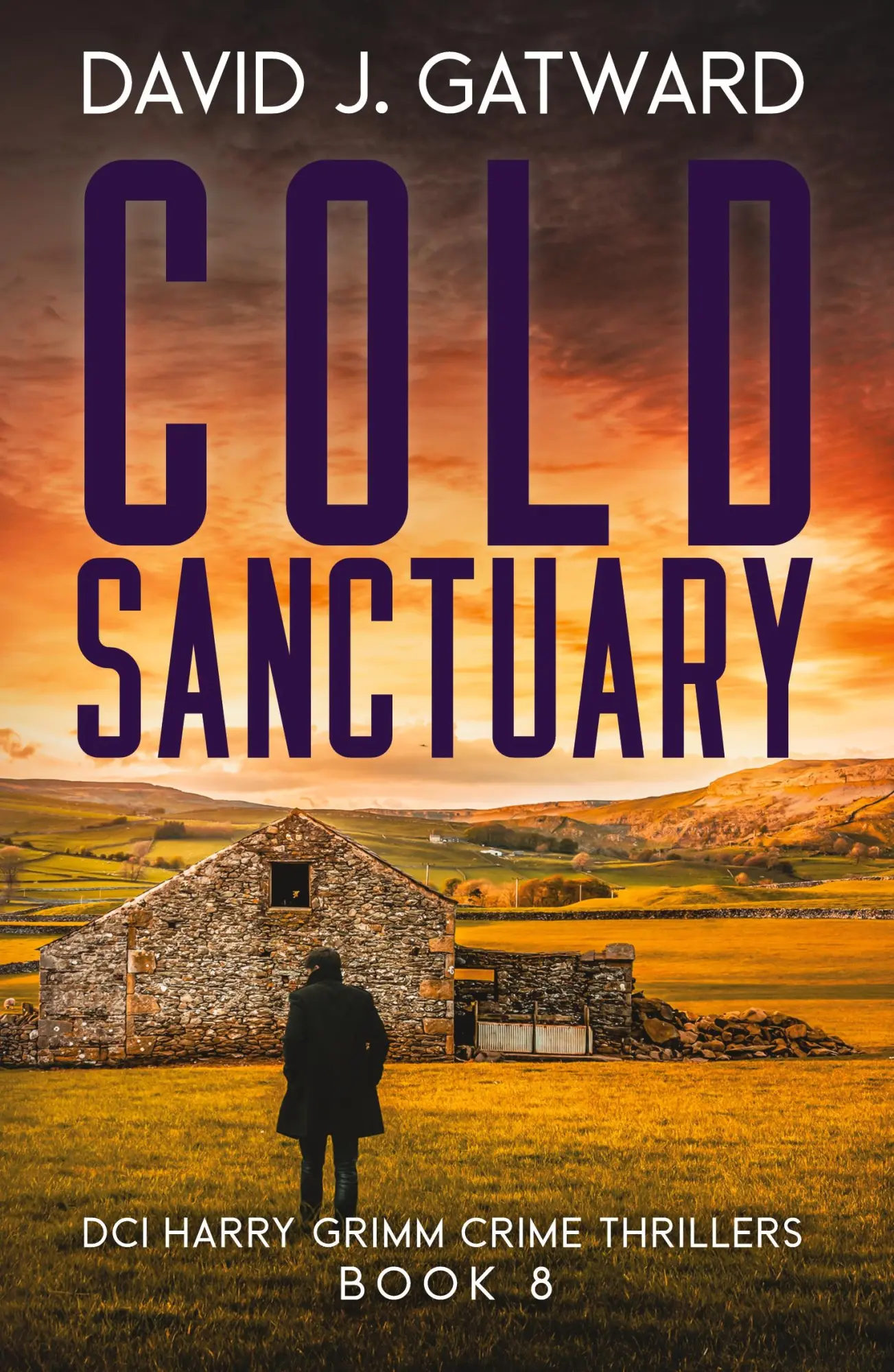 Cover: 9781917001076 | Cold Sanctuary | David J. Gatward | Taschenbuch | Englisch | 2023