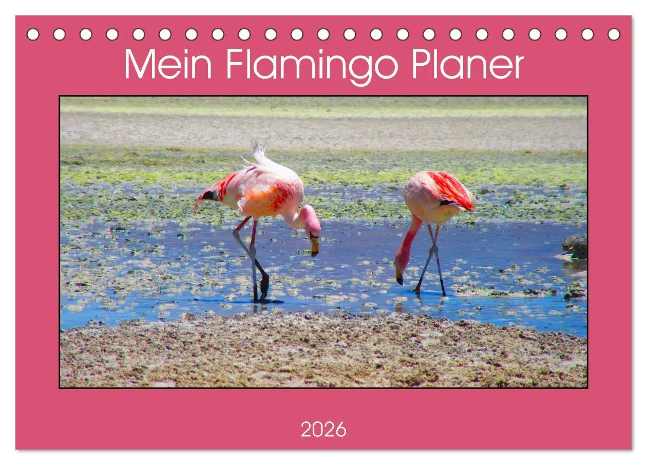 Cover: 9783457451076 | Mein Flamingo Planer (Tischkalender 2026 DIN A5 quer), CALVENDO...