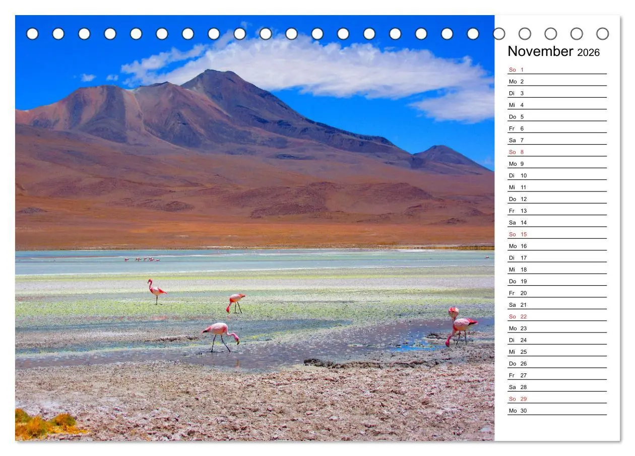 Bild: 9783457451076 | Mein Flamingo Planer (Tischkalender 2026 DIN A5 quer), CALVENDO...