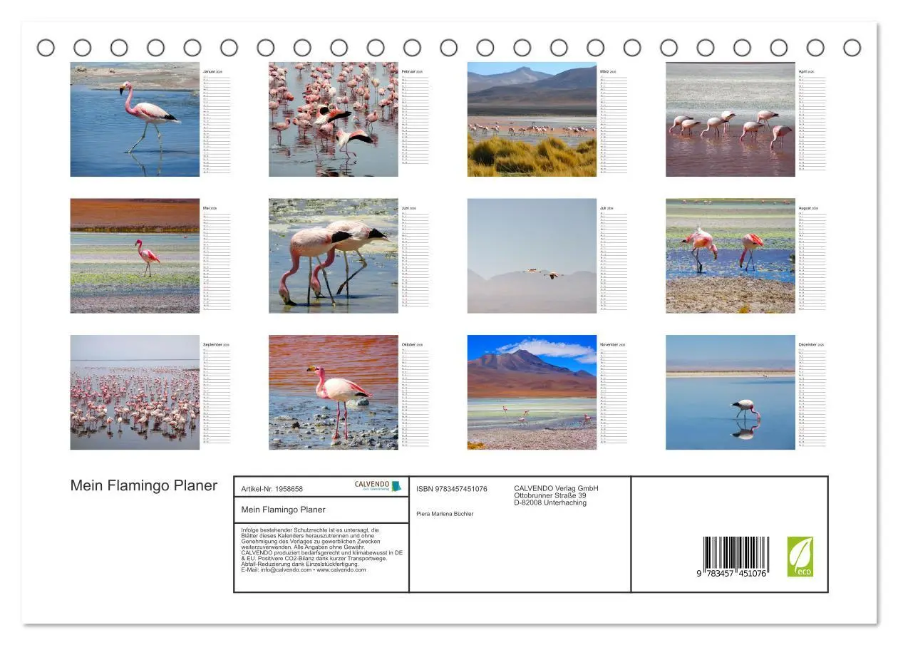 Bild: 9783457451076 | Mein Flamingo Planer (Tischkalender 2026 DIN A5 quer), CALVENDO...