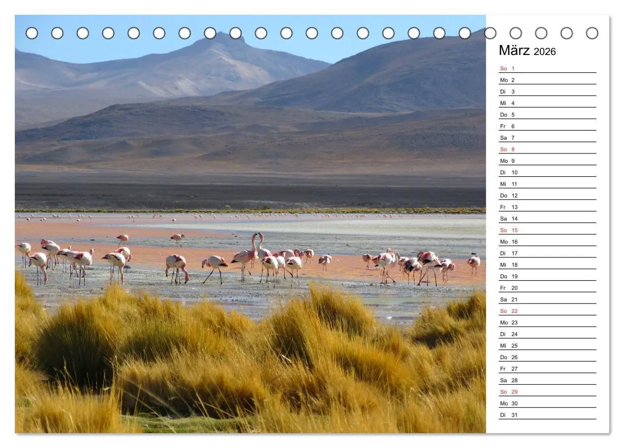 Bild: 9783457451076 | Mein Flamingo Planer (Tischkalender 2026 DIN A5 quer), CALVENDO...