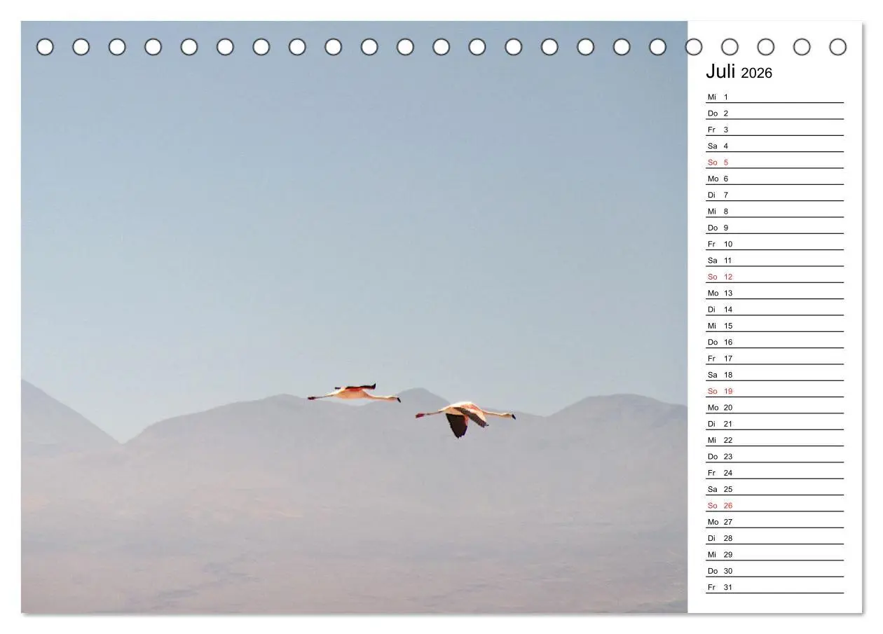 Bild: 9783457451076 | Mein Flamingo Planer (Tischkalender 2026 DIN A5 quer), CALVENDO...