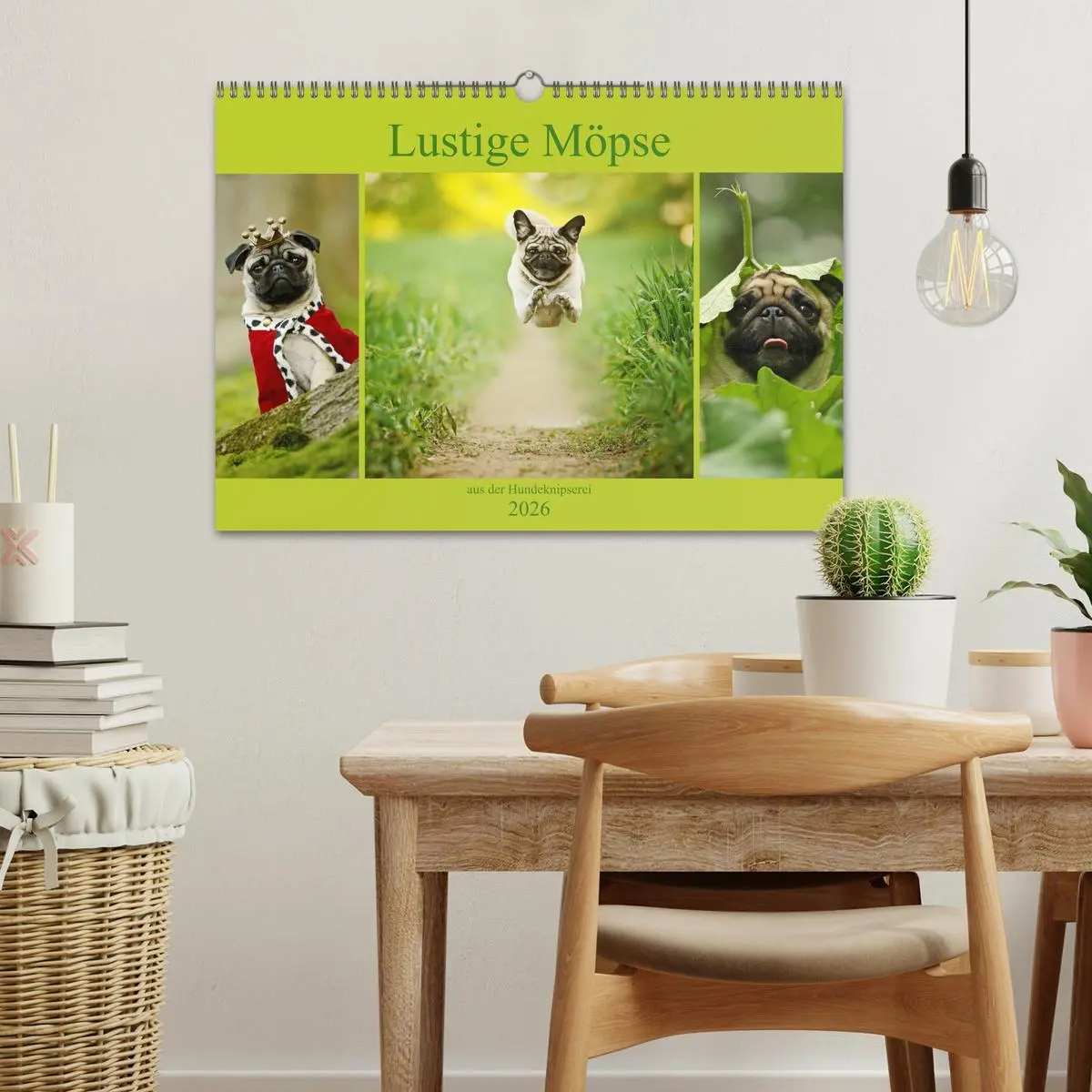 Bild: 9783457901076 | Lustige Möpse aus der Hundeknipserei (Wandkalender 2026 DIN A3...