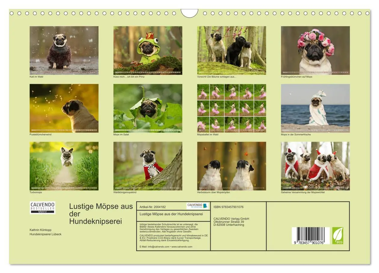 Bild: 9783457901076 | Lustige Möpse aus der Hundeknipserei (Wandkalender 2026 DIN A3...