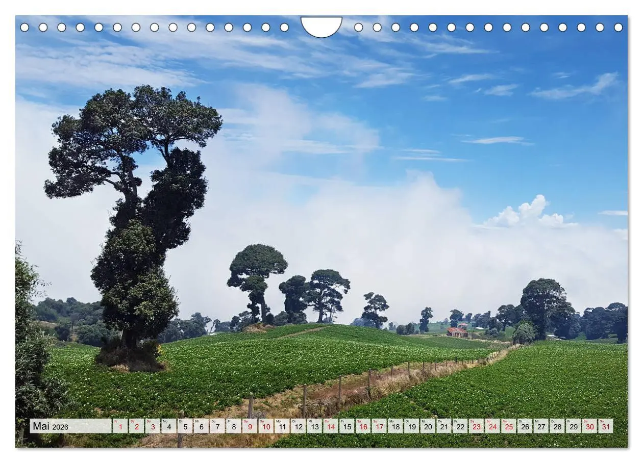 Bild: 9783457821176 | Costa Rica - Lebensfreude pur (Wandkalender 2026 DIN A4 quer),...