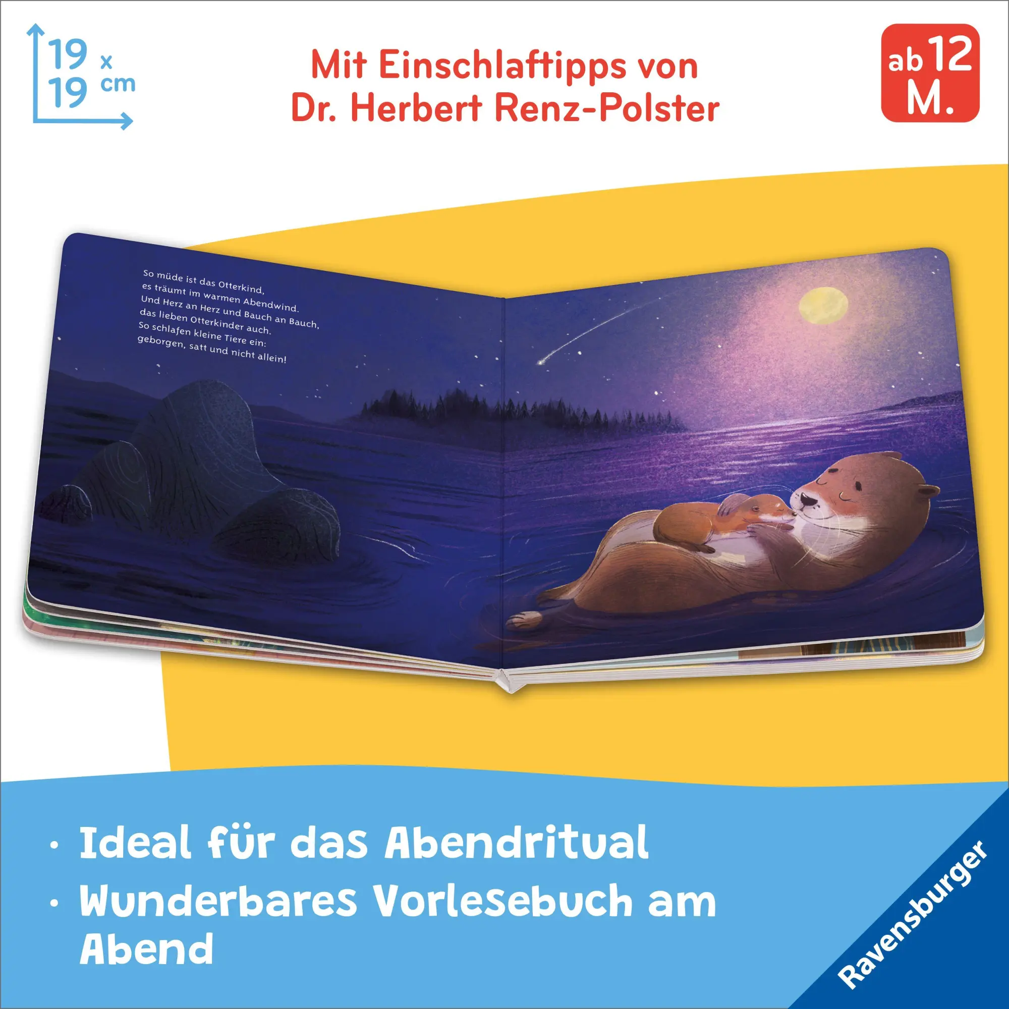 Bild: 9783473421176 | Müde und geborgen | So schlafen Babys ein. | Renz-Polster (u. a.)