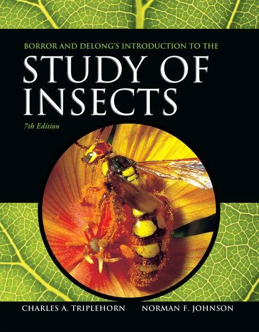 Cover: 9780357671276 | Borror and Delong's Introduction to the Study of Insects | Taschenbuch Cover: 9780357671276 | Borror and Delong's Introduction to the Study of Insects | Taschenbuch