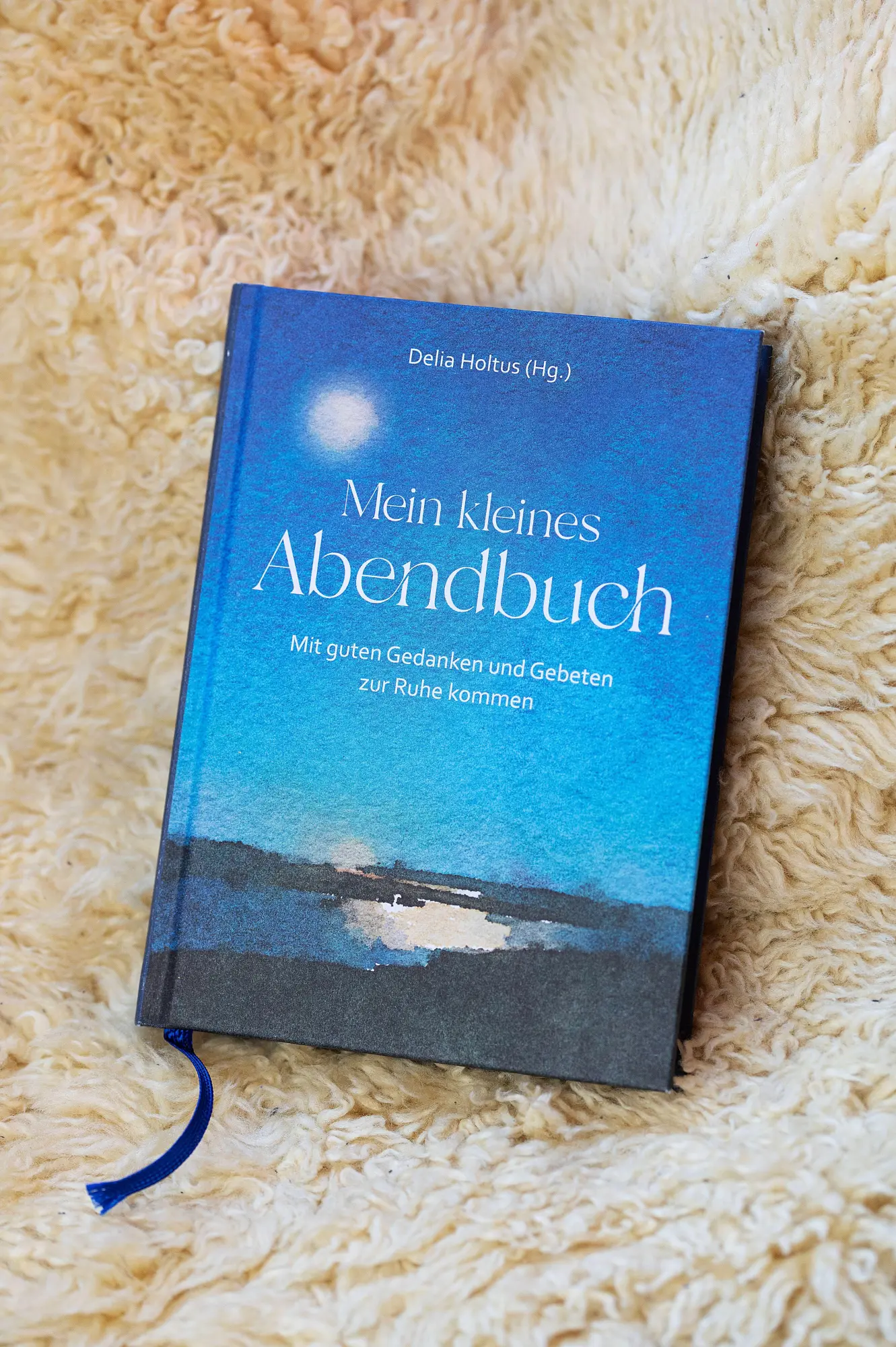 Bild: 9783986951276 | Mein kleines Abendbuch | Delia Holtus | Buch | 224 S. | Deutsch | 2026
