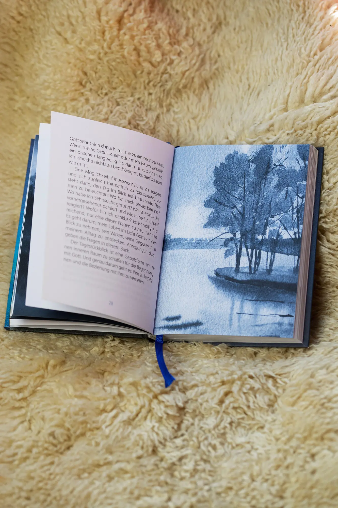 Bild: 9783986951276 | Mein kleines Abendbuch | Delia Holtus | Buch | 224 S. | Deutsch | 2026