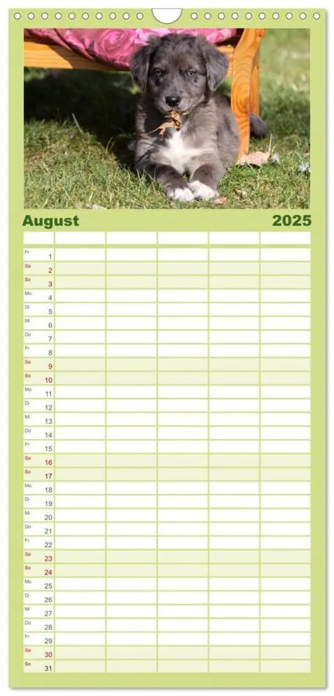 Bild: 9783457111376 | Familienplaner 2025 - Der Hundewelpen-Geburtstagskalender mit 5...