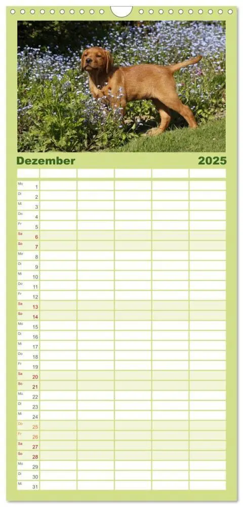Bild: 9783457111376 | Familienplaner 2025 - Der Hundewelpen-Geburtstagskalender mit 5...
