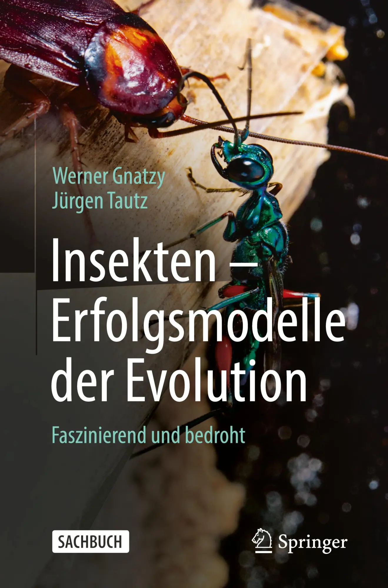 Cover: 9783662661376 | Insekten - Erfolgsmodelle der Evolution | Faszinierend und bedroht