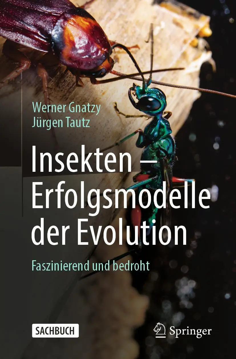 Cover: 9783662661376 | Insekten - Erfolgsmodelle der Evolution | Faszinierend und bedroht Cover: 9783662661376 | Insekten - Erfolgsmodelle der Evolution | Faszinierend und bedroht