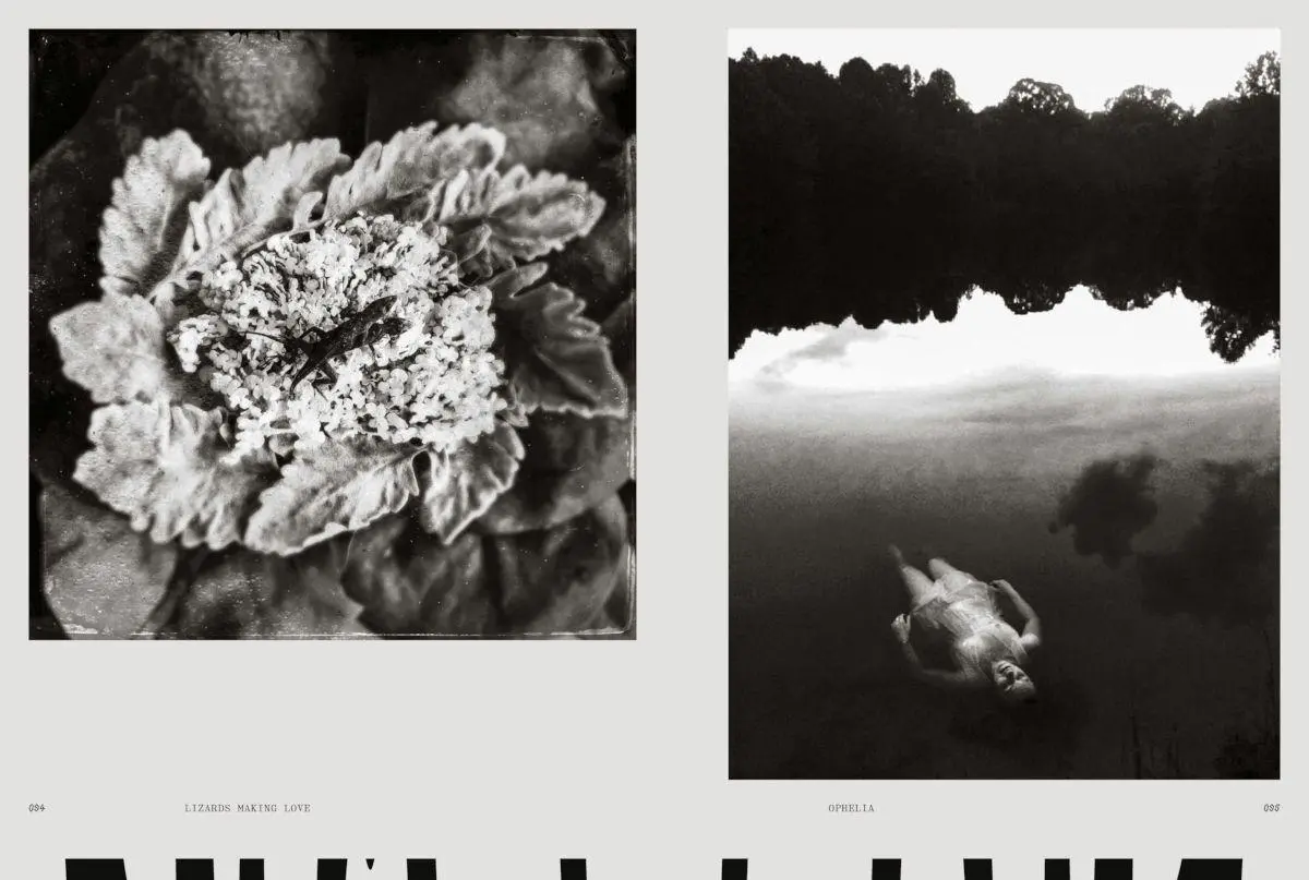 Bild: 9783775761376 | femxphotographers.org | Love | Charlotte Cotton | Taschenbuch | 176 S.