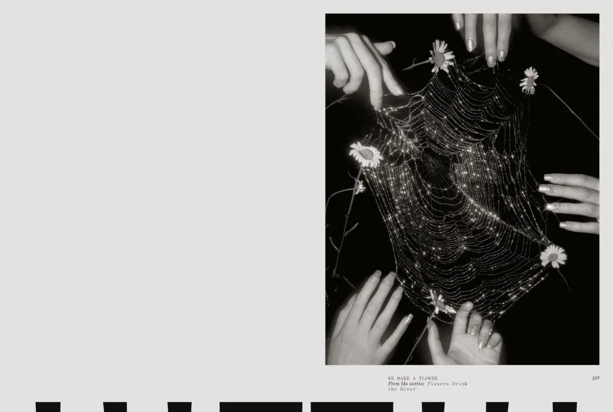 Bild: 9783775761376 | femxphotographers.org | Love | Charlotte Cotton | Taschenbuch | 176 S.