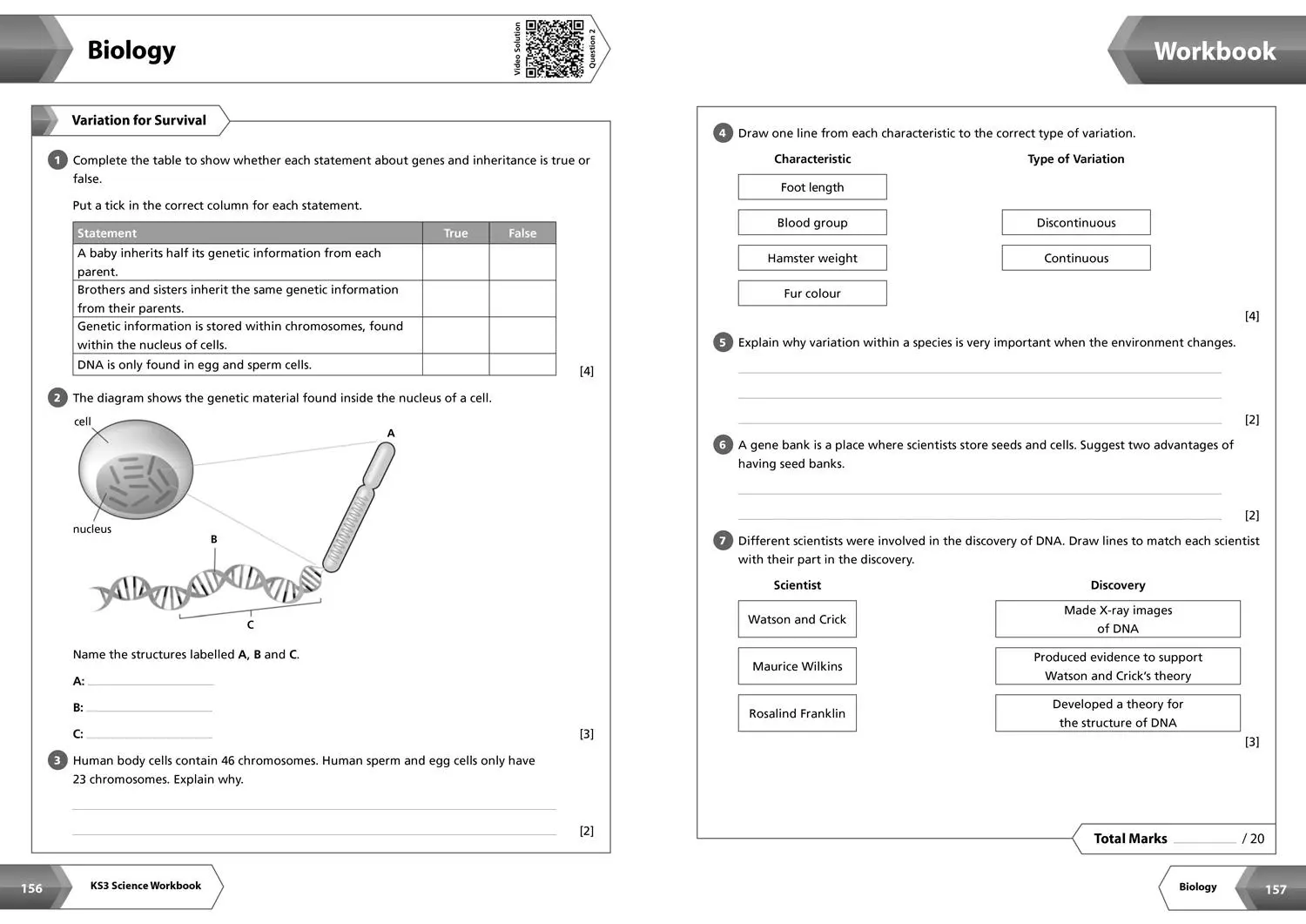 Bild: 9780008551476 | Ks3 Science All-In-One Complete Revision and Practice | Ks3 | Buch