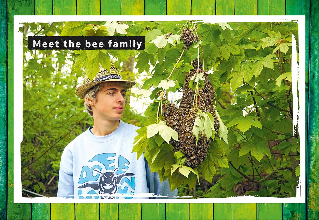 Bild: 9783818621476 | Quentins Welt der Bienen. #meetthebeefamily - Beesteez | Buch | 144 S.