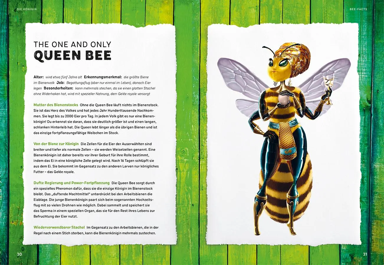 Bild: 9783818621476 | Quentins Welt der Bienen. #meetthebeefamily - Beesteez | Buch | 144 S.