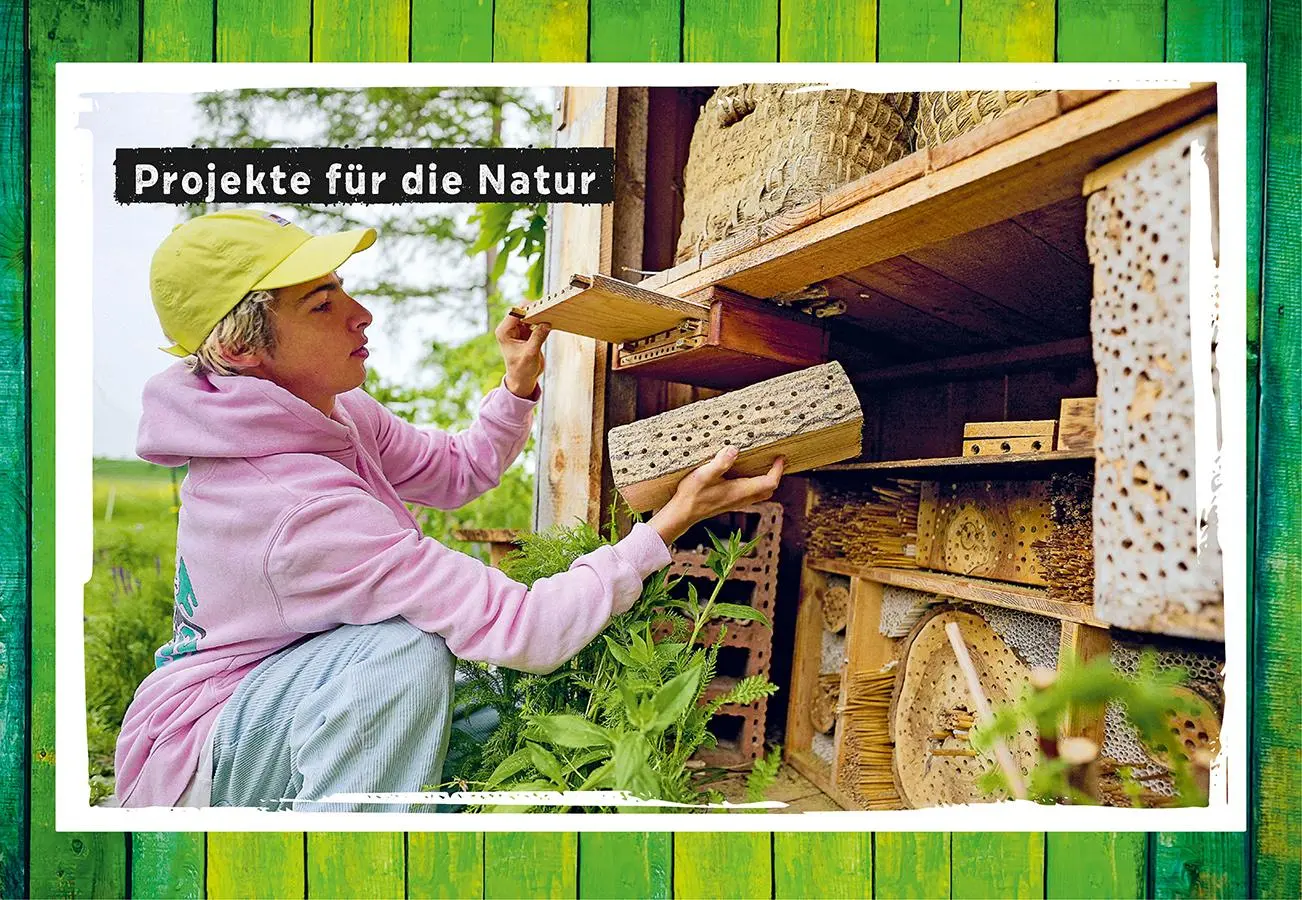 Bild: 9783818621476 | Quentins Welt der Bienen. #meetthebeefamily - Beesteez | Buch | 144 S.